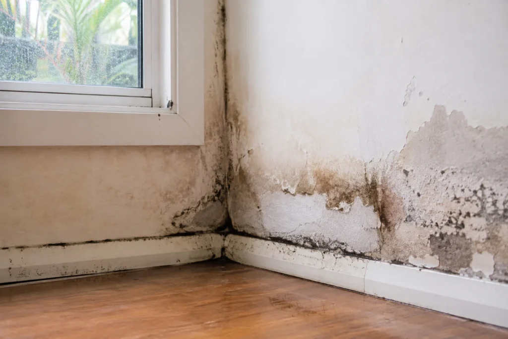 Moisture problems in house